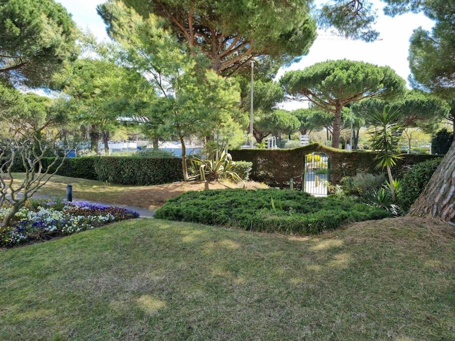 Superbe T2 Tout Confort 3 Etoiles, Entierement Renove Avec Piscine, Parking, Clim, Wifi, Netflix La Grande-Motte Esterno foto