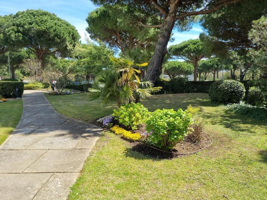 Superbe T2 Tout Confort 3 Etoiles, Entierement Renove Avec Piscine, Parking, Clim, Wifi, Netflix La Grande-Motte Esterno foto